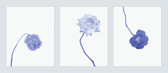 Floral wall art set, minimalist blue roses on grey background