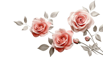 Three pink roses png with leaves on white background. Great for greeting cards, spring time designs, floral concepts, and wedding invitations.