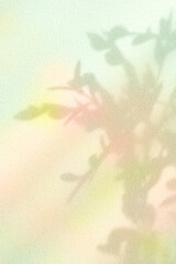 컬러풀한 식물 그림자