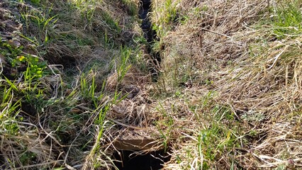 古い農業用水の水路