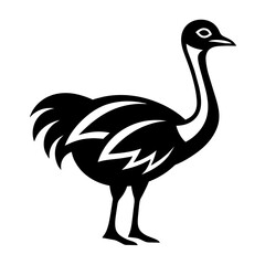 Ostrich vector silhouette illustration isolated on a white background. 