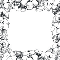 Square frame with cotton flowers and space for text. Linear sketch of white cotton balls, leaves and branches. Vector retro ink illustration. Design for label, tag or wedding invitation.
