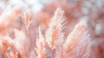 Visualize tall, growing pampas grass, each feathery stalk tinted in a delicate peach fuzz hue, contrasting beautifully against a soft, unfocused background AI Generate