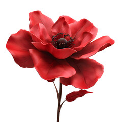 Beauty flower isolated on transparent background. PNG
