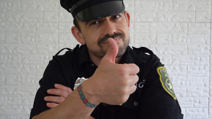 Policeman showing expressions: ok