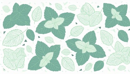 Set of fresh mint leaves on white background.