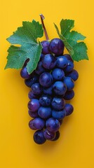 Black Grapes Images | yellow background