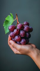 Purple Grapes Stock Photos | Plain Background