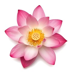 beautiful pink lotus flower top view isolated on white background. Generative Ai