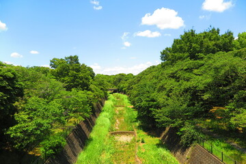 水の無い川と緑の木々が生い茂る川原の風景1