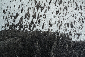fondo abstracto de pared grunge con textura blanco y negro