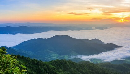 Fototapeta premium green mountain with fog and sunrise twilight sky at background
