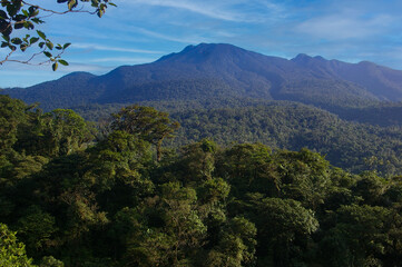 Costa Rica Paradise Nature