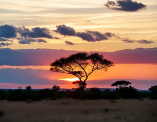 amazing red sunset in the savannah