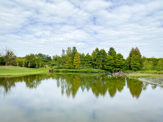 Fototapeta premium Tranquil Nature Walk Along Serene Waterway and Lush Greenery, Hong Kong Wetland Park