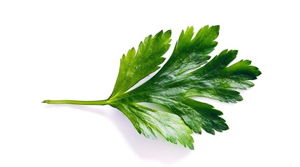 Fresh parsley leaf. Parsley leaf isolated on white. Generative Ai