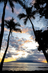 Silhouette coconut trees on the beach over sea water and island in the evening with colorful...