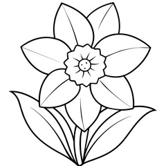 black and white flower