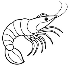 illustration of shrimp