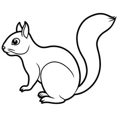 squirrel