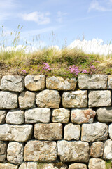rocky wall topped with grass in farmland 