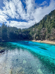 Jiuzhaigou's Five-Color Pond Majesty