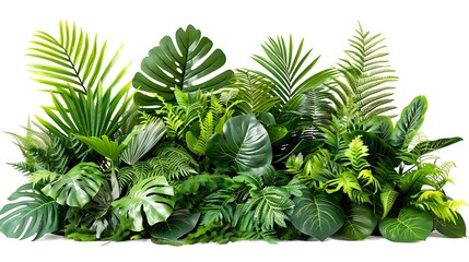 Tropical foliage plant bush (Monstera, palm leaves, and Bird's nest fern) floral arrangement indoors garden nature backdrop isolated on white. Generative Ai