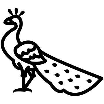 recommend clip art: peacock outline vector icon