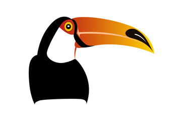 Colorful Abstract drawing of Toucan bird isolated on white background - vector illustration