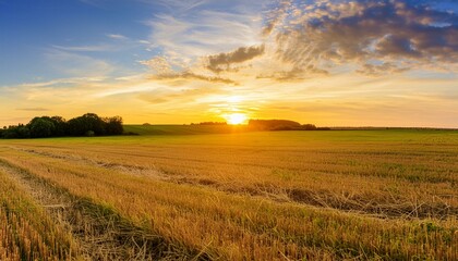 Beautiful sunset over a field