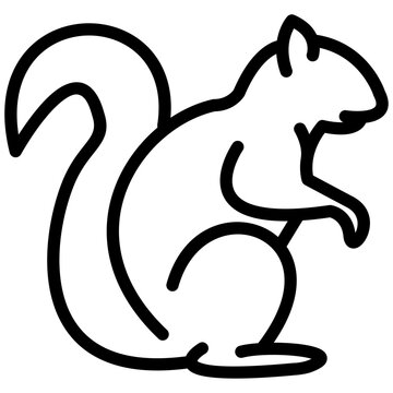 squirrel outline vector icon