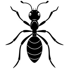 Ant vector icon