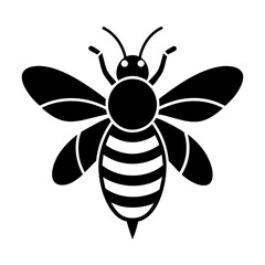 bee illustration vector