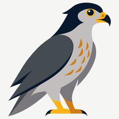 Falcon logo vector art silhouette illustration icon