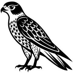 Falcon vector art silhouette illustration