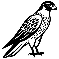 Falcon vector silhouette illustration art
