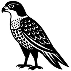 Falcon vector silhouette illustration