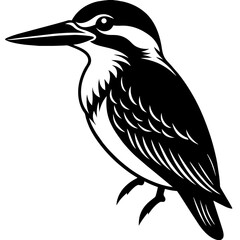 Kingfisher vector silhouette illustration art