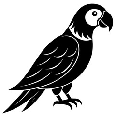 Parrot vector icon silhouette illustration art