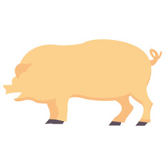 pig flat vector icon