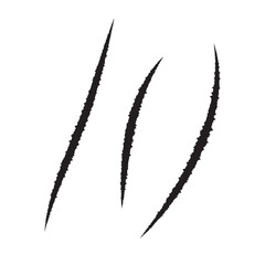 Bear paw claw marks, scratches of animal attack