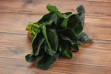 Fototapeta premium Ripe green spinach leaves heap