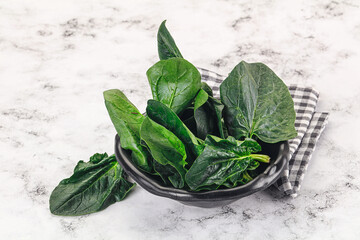 Ripe green spinach leaves heap