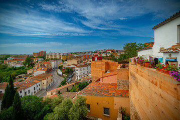 Vista panorámica  del casco histórico de la ciudad española de Cáceres con vistas a los tejados...