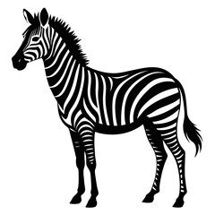 zebra vector art illustration flat style (5)