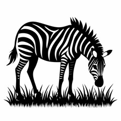 zebra vector art illustration flat style (12)