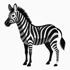 zebra vector art illustration flat style (16)