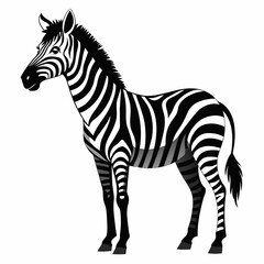 zebra vector art illustration flat style (15)