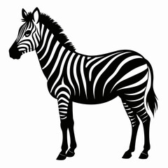 zebra vector art illustration flat style (19)
