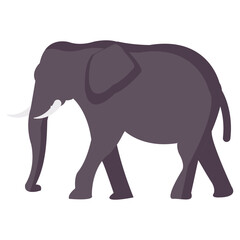 elephant flat vector icon